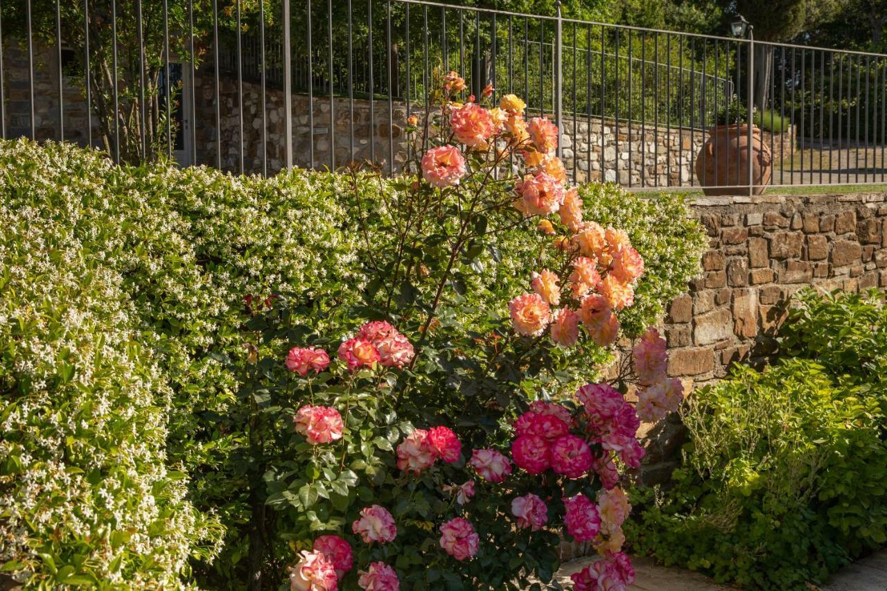 Podere Cerretino Poppi Dış mekan fotoğraf